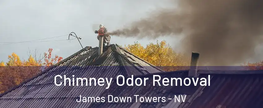 Chimney Odor Removal James Down Towers - NV
