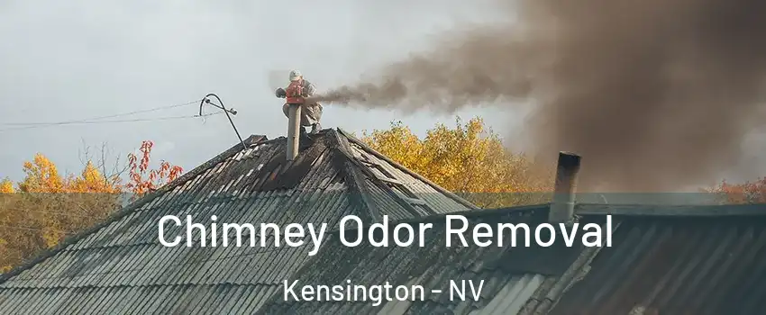 Chimney Odor Removal Kensington - NV