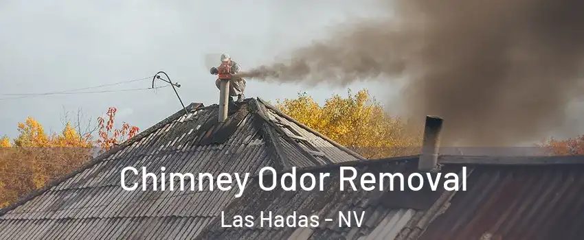 Chimney Odor Removal Las Hadas - NV