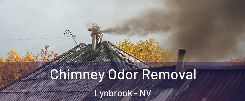 Chimney Odor Removal Lynbrook - NV