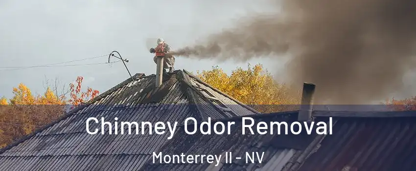 Chimney Odor Removal Monterrey II - NV