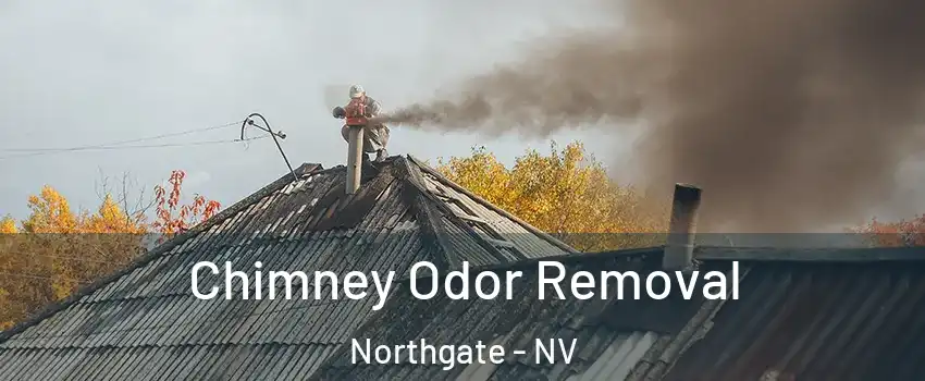 Chimney Odor Removal Northgate - NV