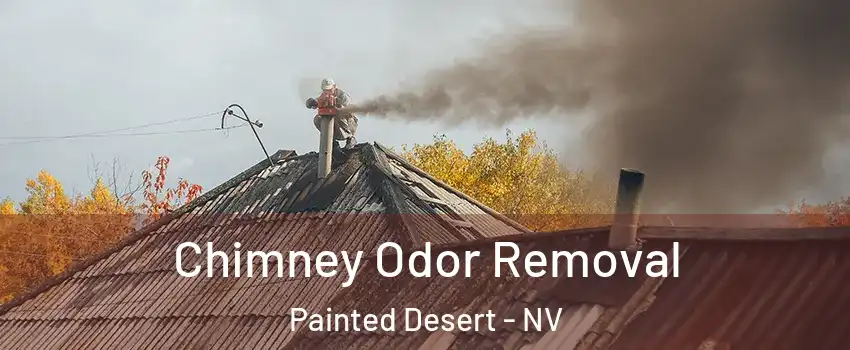 Chimney Odor Removal Painted Desert - NV