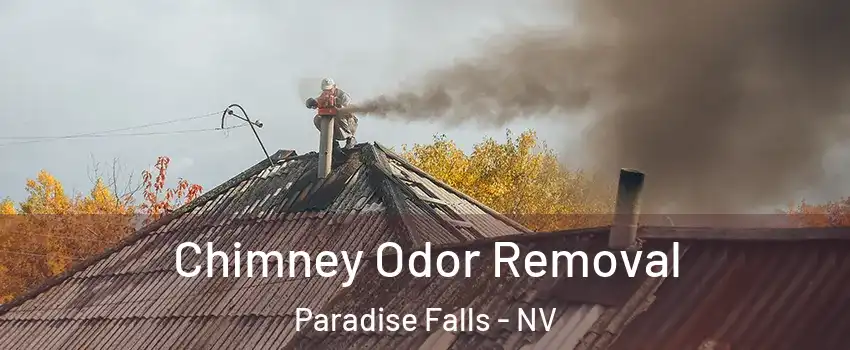 Chimney Odor Removal Paradise Falls - NV