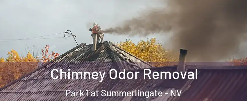 Chimney Odor Removal Park 1 at Summerlingate - NV
