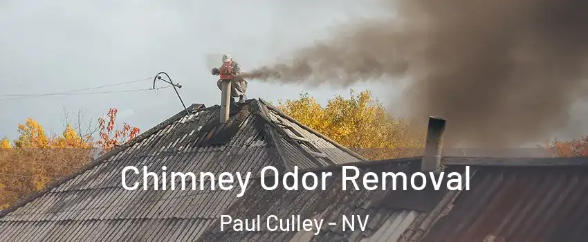 Chimney Odor Removal Paul Culley - NV