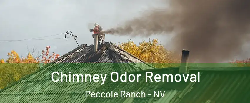 Chimney Odor Removal Peccole Ranch - NV