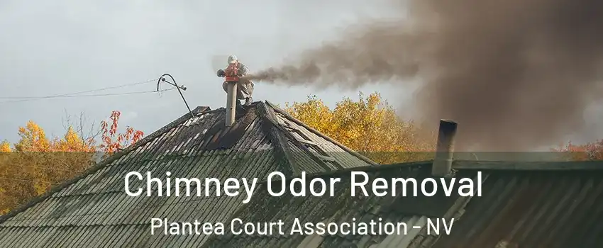 Chimney Odor Removal Plantea Court Association - NV
