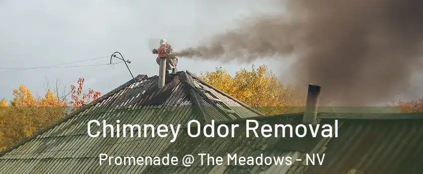 Chimney Odor Removal Promenade @ The Meadows - NV