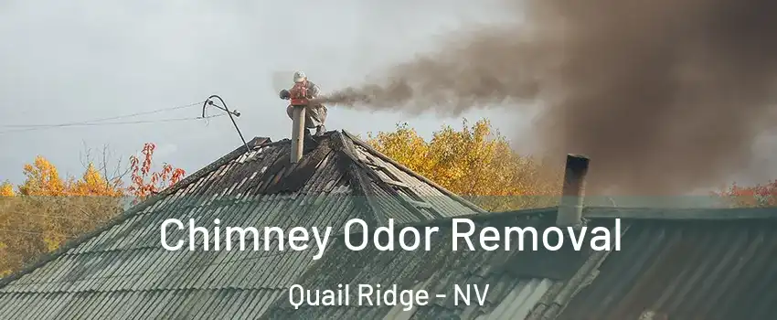 Chimney Odor Removal Quail Ridge - NV