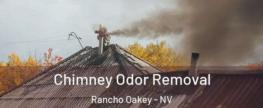 Chimney Odor Removal Rancho Oakey - NV