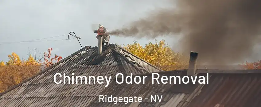 Chimney Odor Removal Ridgegate - NV