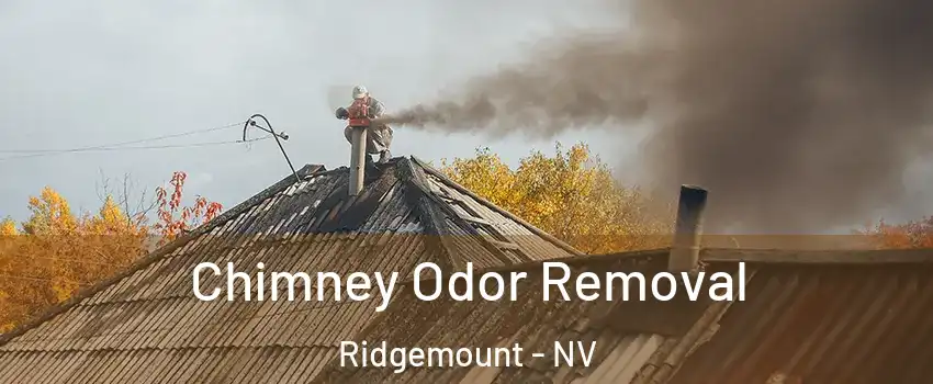 Chimney Odor Removal Ridgemount - NV