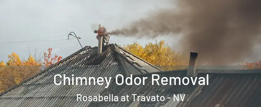 Chimney Odor Removal Rosabella at Travato - NV