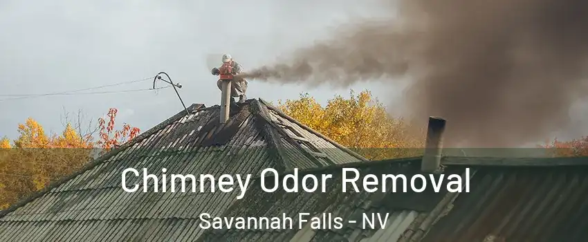 Chimney Odor Removal Savannah Falls - NV