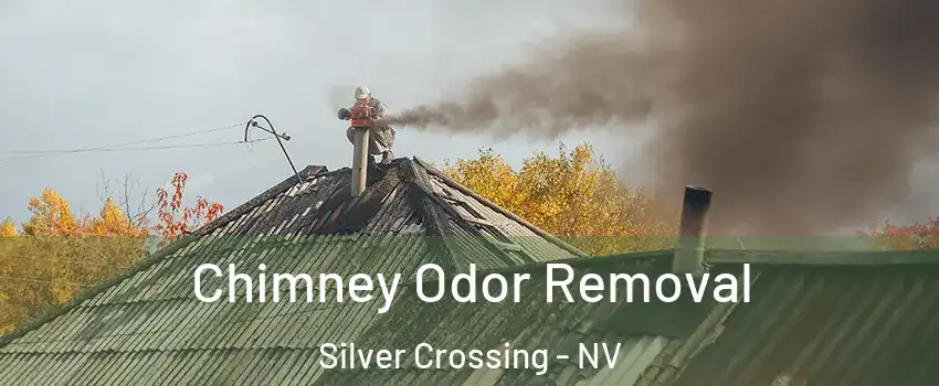 Chimney Odor Removal Silver Crossing - NV
