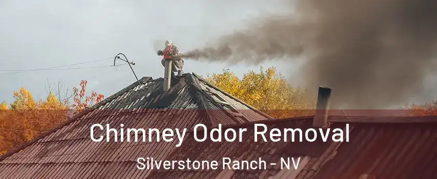 Chimney Odor Removal Silverstone Ranch - NV