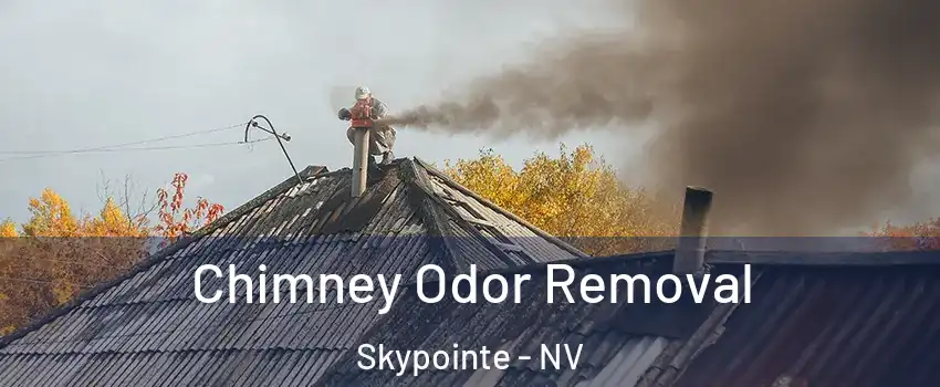 Chimney Odor Removal Skypointe - NV