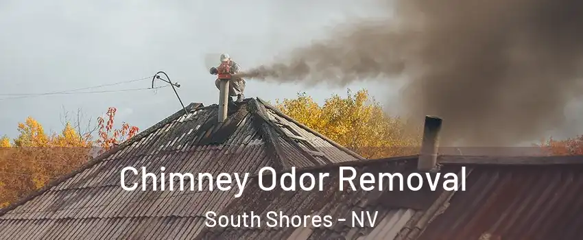Chimney Odor Removal South Shores - NV
