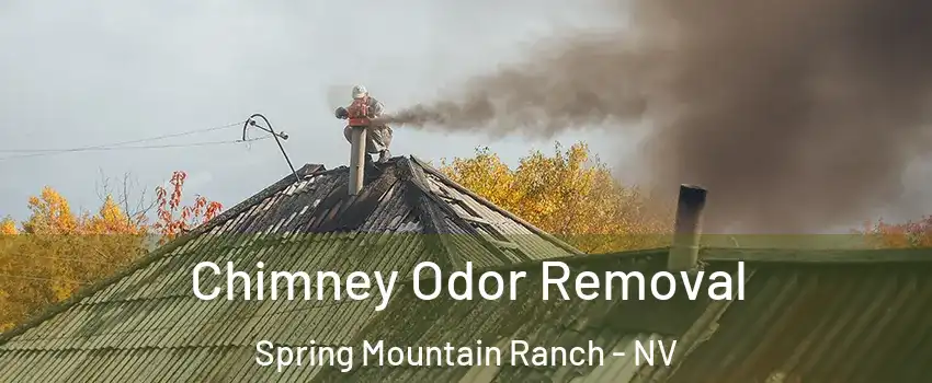 Chimney Odor Removal Spring Mountain Ranch - NV