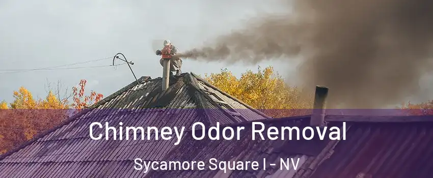 Chimney Odor Removal Sycamore Square I - NV