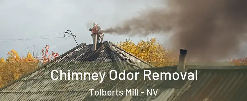 Chimney Odor Removal Tolberts Mill - NV