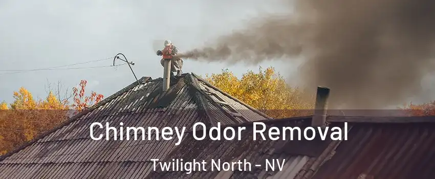 Chimney Odor Removal Twilight North - NV