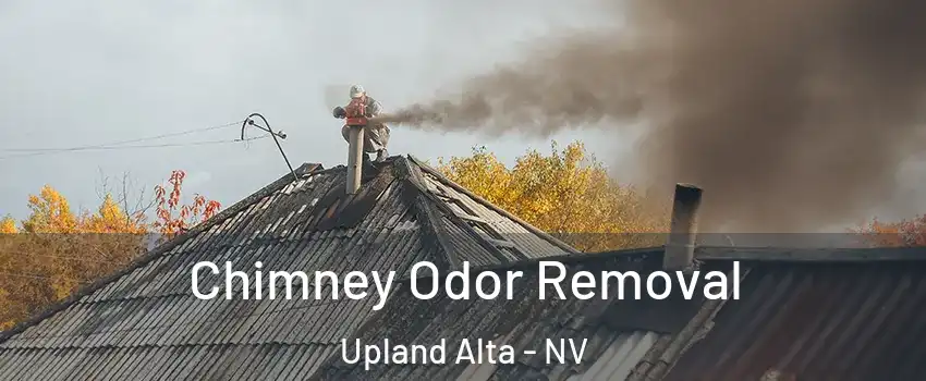 Chimney Odor Removal Upland Alta - NV