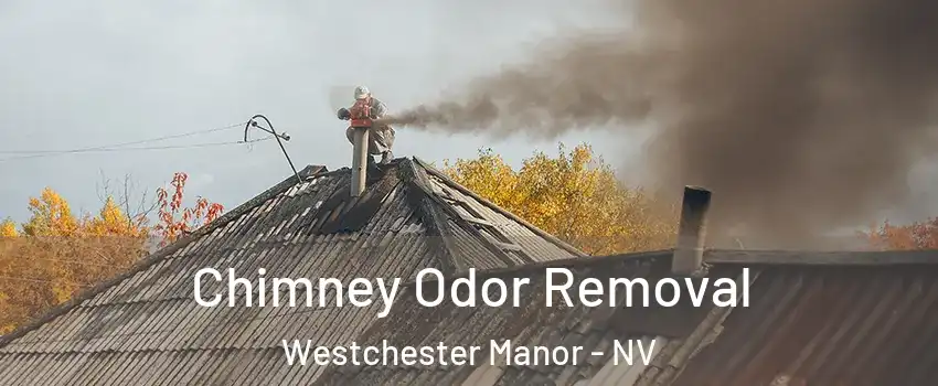 Chimney Odor Removal Westchester Manor - NV