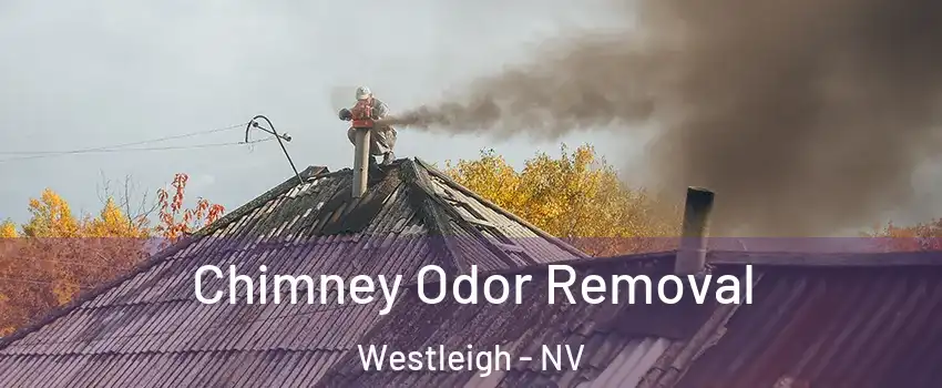 Chimney Odor Removal Westleigh - NV