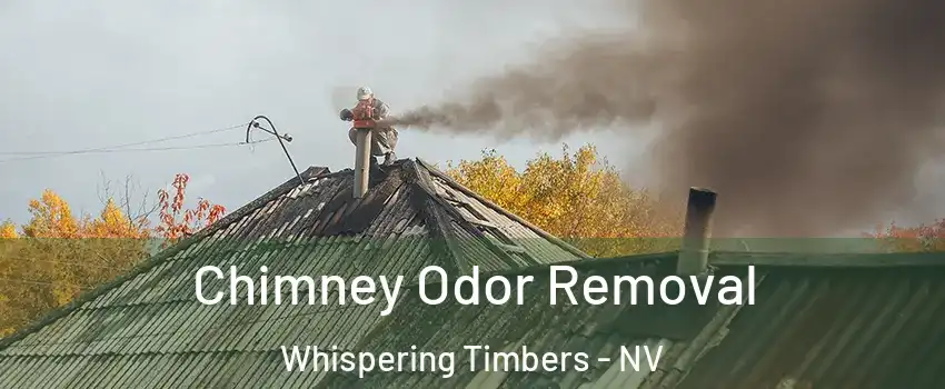 Chimney Odor Removal Whispering Timbers - NV