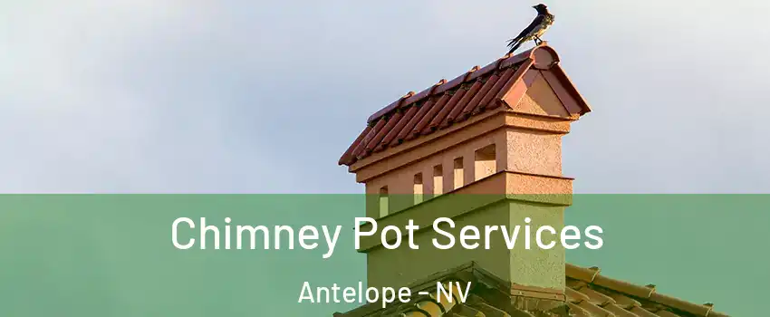 Chimney Pot Services Antelope - NV
