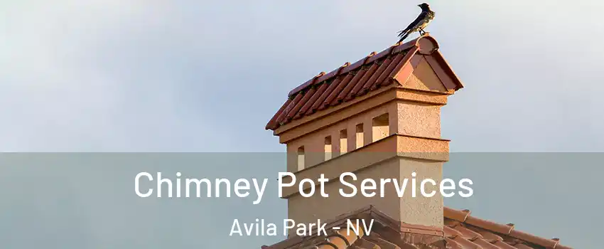 Chimney Pot Services Avila Park - NV