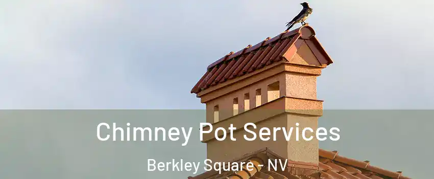 Chimney Pot Services Berkley Square - NV