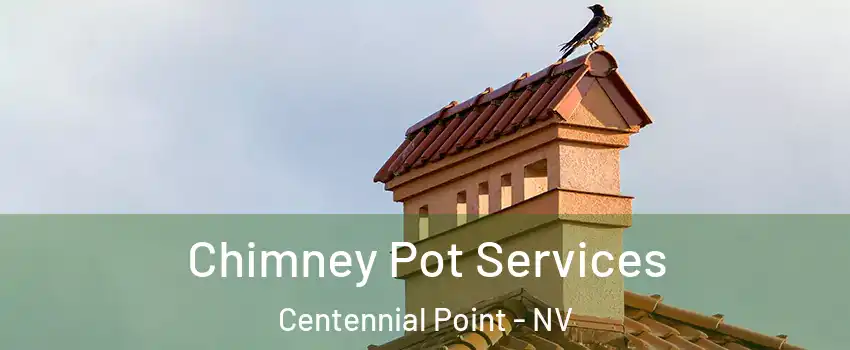 Chimney Pot Services Centennial Point - NV