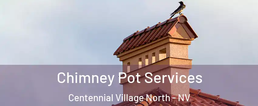 Chimney Pot Services Centennial Village North - NV