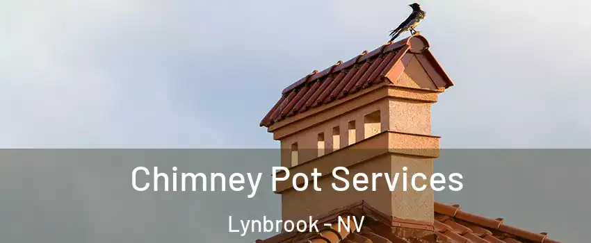 Chimney Pot Services Lynbrook - NV