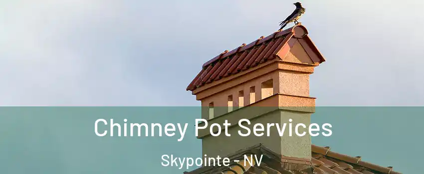 Chimney Pot Services Skypointe - NV