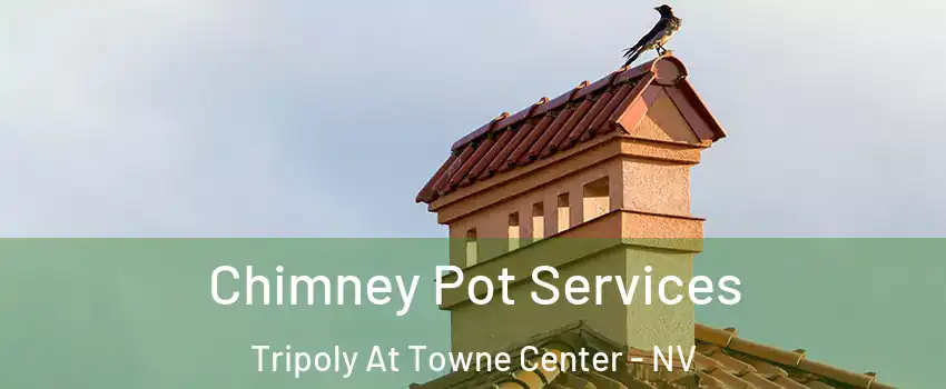 Chimney Pot Services Tripoly At Towne Center - NV