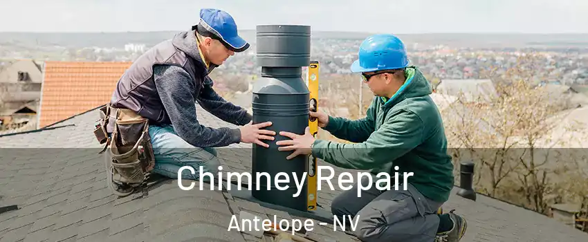 Chimney Repair Antelope - NV