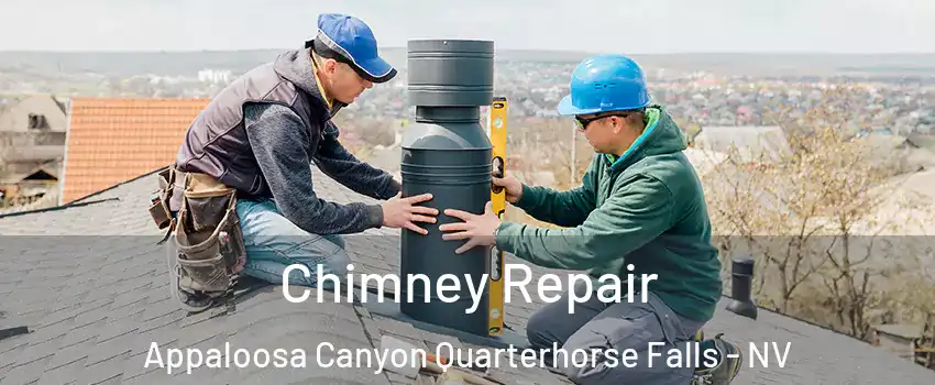 Chimney Repair Appaloosa Canyon Quarterhorse Falls - NV