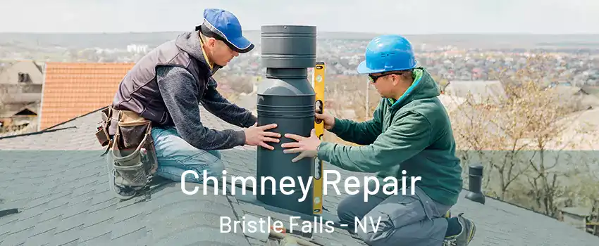 Chimney Repair Bristle Falls - NV
