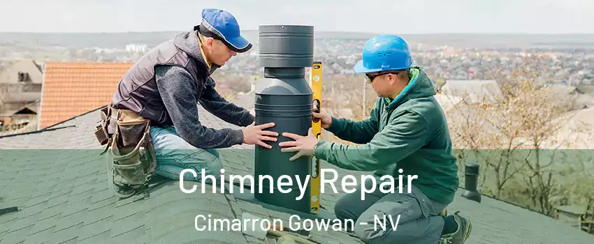Chimney Repair Cimarron Gowan - NV