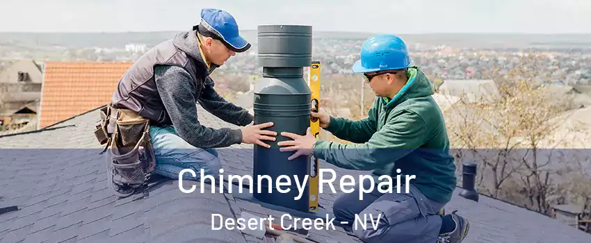 Chimney Repair Desert Creek - NV