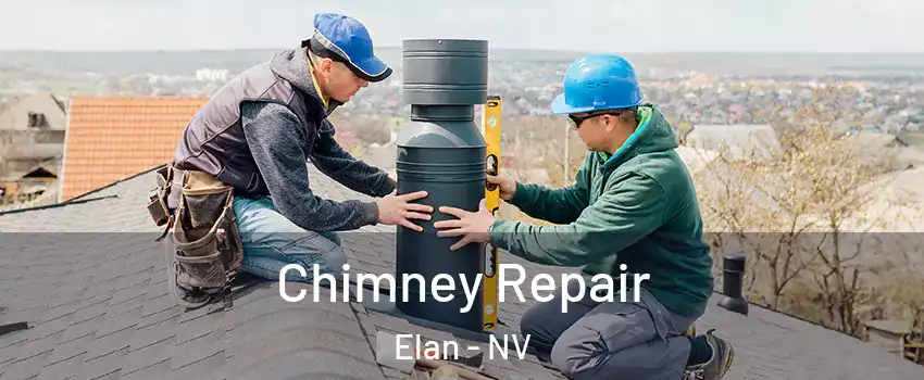 Chimney Repair Elan - NV