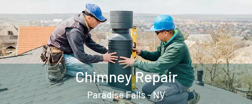 Chimney Repair Paradise Falls - NV