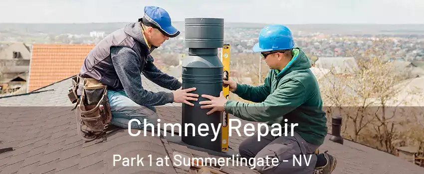 Chimney Repair Park 1 at Summerlingate - NV