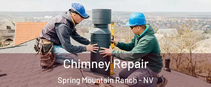 Chimney Repair Spring Mountain Ranch - NV