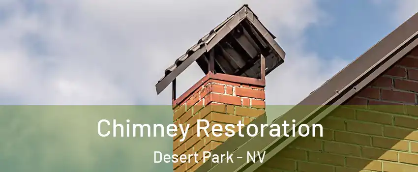 Chimney Restoration Desert Park - NV