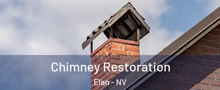 Chimney Restoration Elan - NV